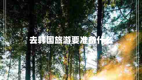 去韓國旅游要準備什么