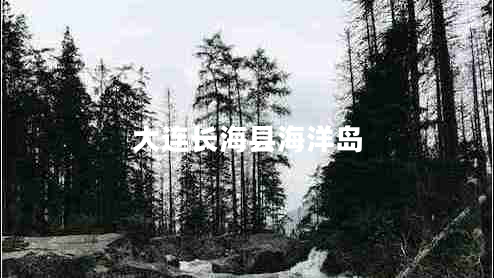 大連長(cháng)海縣海洋島