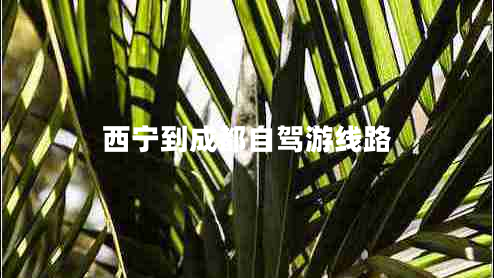 西寧到成都自駕游線(xiàn)路