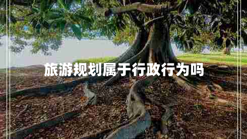 旅游規劃屬于行政行為嗎