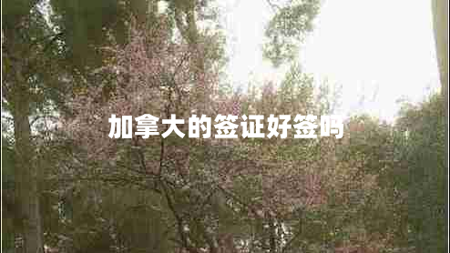 加拿大的簽證好簽嗎