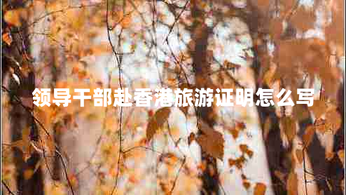 領(lǐng)導干部赴香港旅游證明怎么寫(xiě)