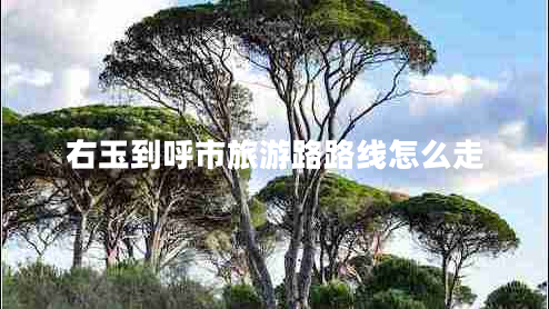 右玉到呼市旅游路路線(xiàn)怎么走
