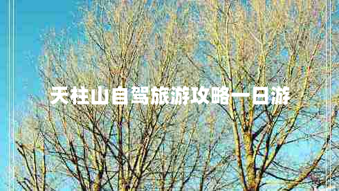天柱山自駕旅游攻略一日游