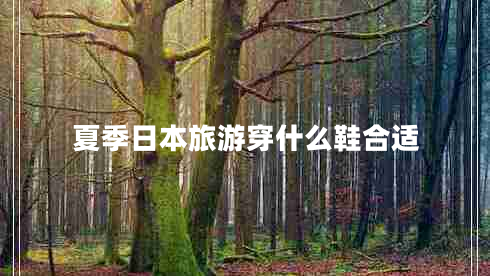 夏季日本旅游穿什么鞋合適
