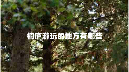 桐廬游玩的地方有哪些 桐廬游玩的地方有哪些