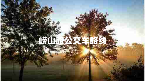 嶗山路公交車(chē)路線(xiàn)