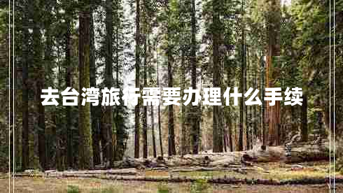去臺灣旅行需要辦理什么手續