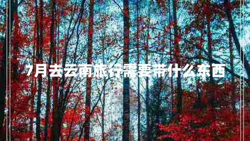 7月去云南旅行需要帶什么東西