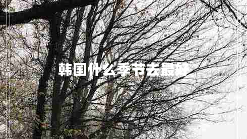 韓國什么季節去最好