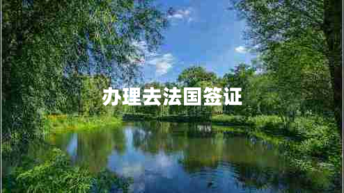 辦理去法國簽證
