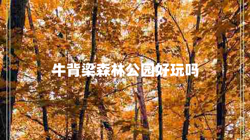牛背梁森林公園好玩嗎