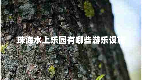 珠海水上樂(lè )園有哪些游樂(lè )設施