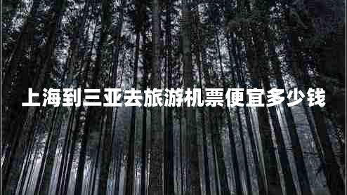 上海到三亞去旅游機票便宜多少錢(qián)
