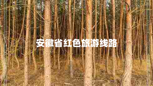 安徽省紅色旅游線(xiàn)路