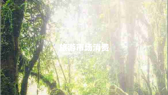 旅游市場(chǎng)消費