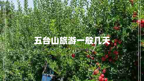 五臺山旅游一般幾天
