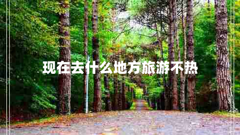 現在去什么地方旅游不熱