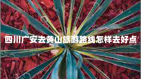 四川廣安去黃山旅游路線(xiàn)怎樣去好點(diǎn)