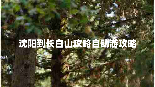 沈陽(yáng)到長(cháng)白山攻略自助游攻略