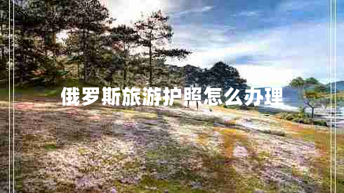 俄羅斯旅游護照怎么辦理