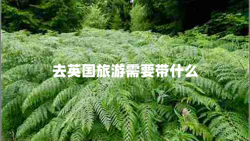 去英國旅游需要帶什么