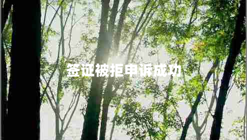 簽證被拒申訴成功