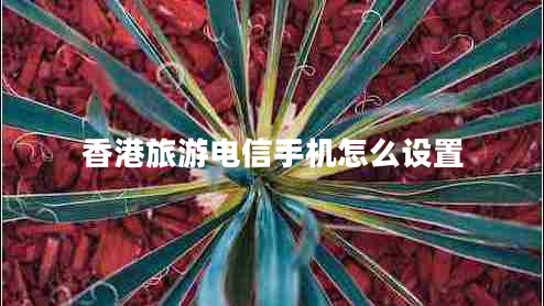 香港旅游電信手機怎么設置