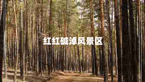 紅紅堿淖風(fēng)景區