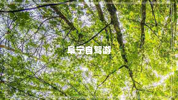 阜寧自駕游