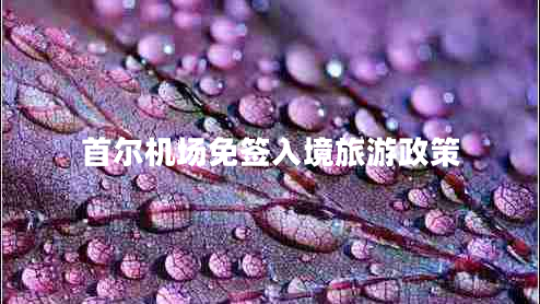 首爾機場(chǎng)免簽入境旅游政策