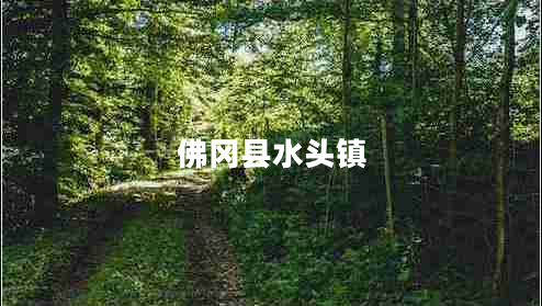 佛岡縣水頭鎮