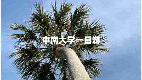 中南大學一日游