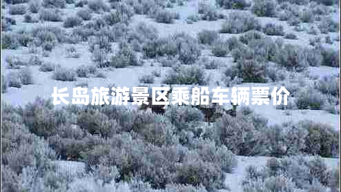長島旅游景區(qū)乘船車輛票價