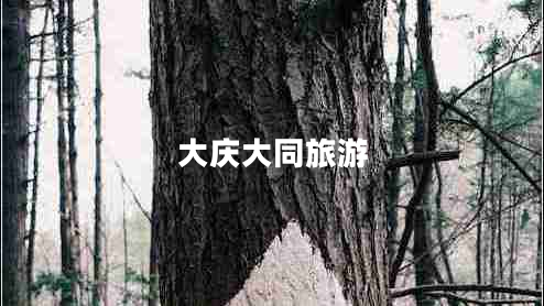 大慶大同旅游