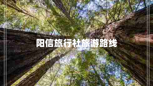 陽(yáng)信旅行社旅游路線(xiàn)