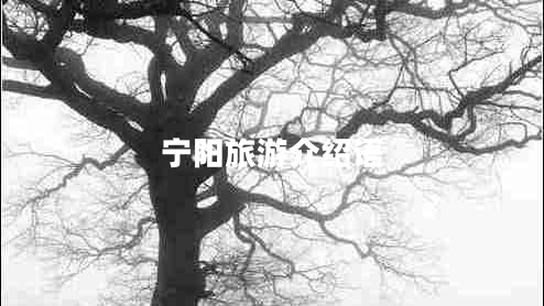 寧陽(yáng)旅游介紹語(yǔ)