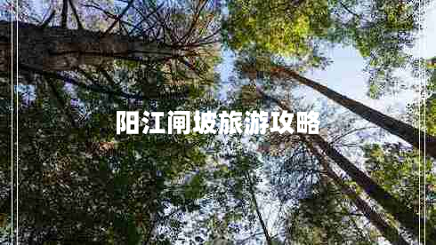 陽(yáng)江閘坡旅游攻略