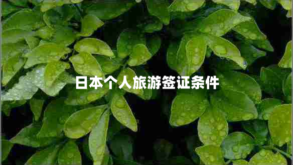 日本個(gè)人旅游簽證條件