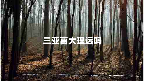 三亞離大理遠嗎