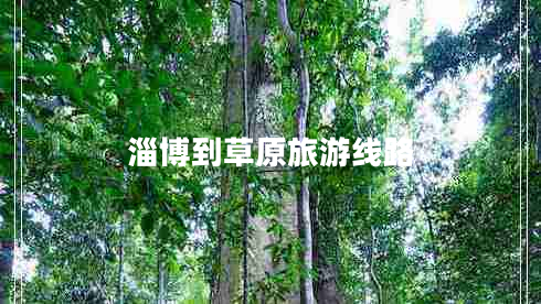 淄博到草原旅游線(xiàn)路