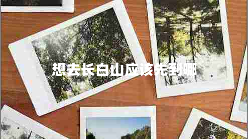 想去長(cháng)白山應該先到哪