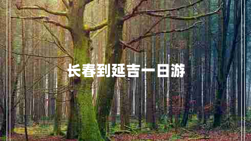 長(cháng)春到延吉一日游