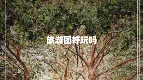 旅游團好玩嗎