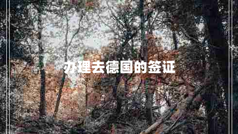 辦理去德國的簽證