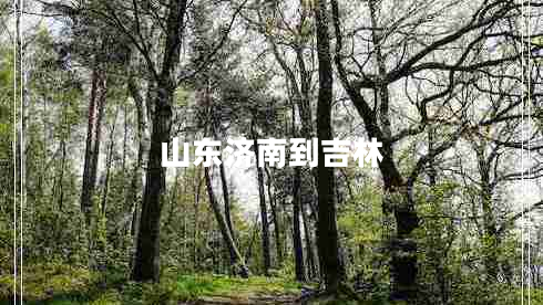 山東濟南到吉林
