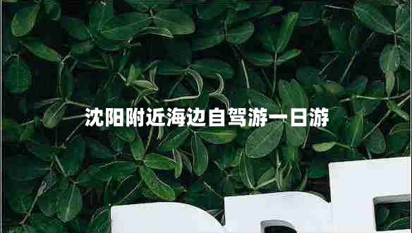 沈陽(yáng)附近海邊自駕游一日游