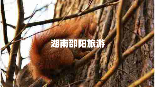 湖南邵陽(yáng)旅游