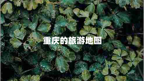重慶的旅游地圖