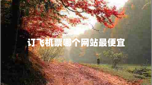 訂飛機票哪個(gè)網(wǎng)站最便宜
